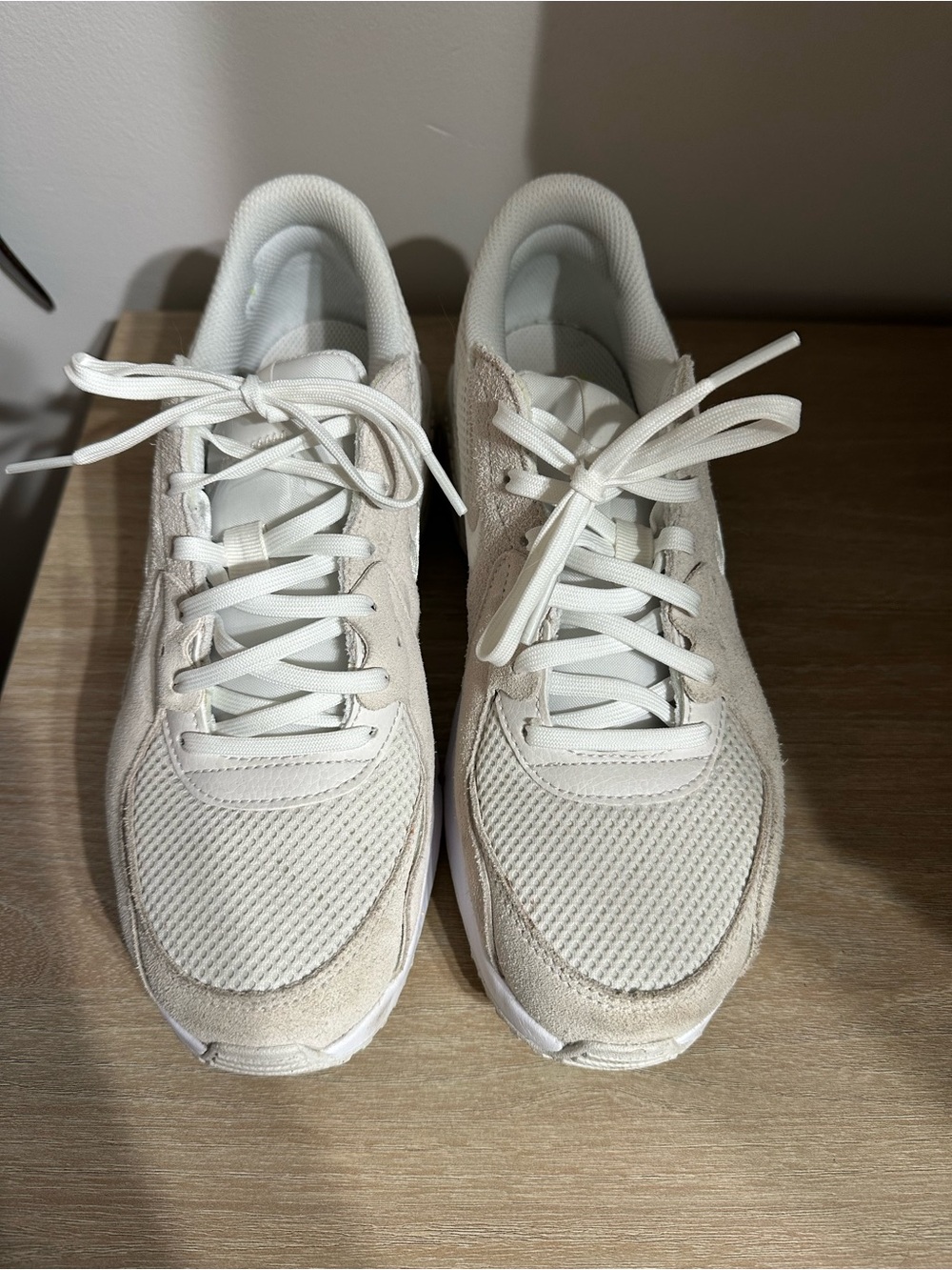 Nike Air Max Sneakers